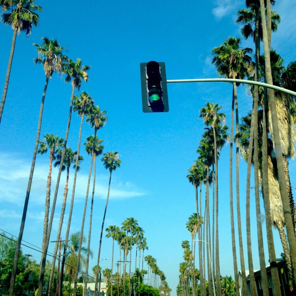 Tall palm trees line a street under clear blue skies with a green traffic light.