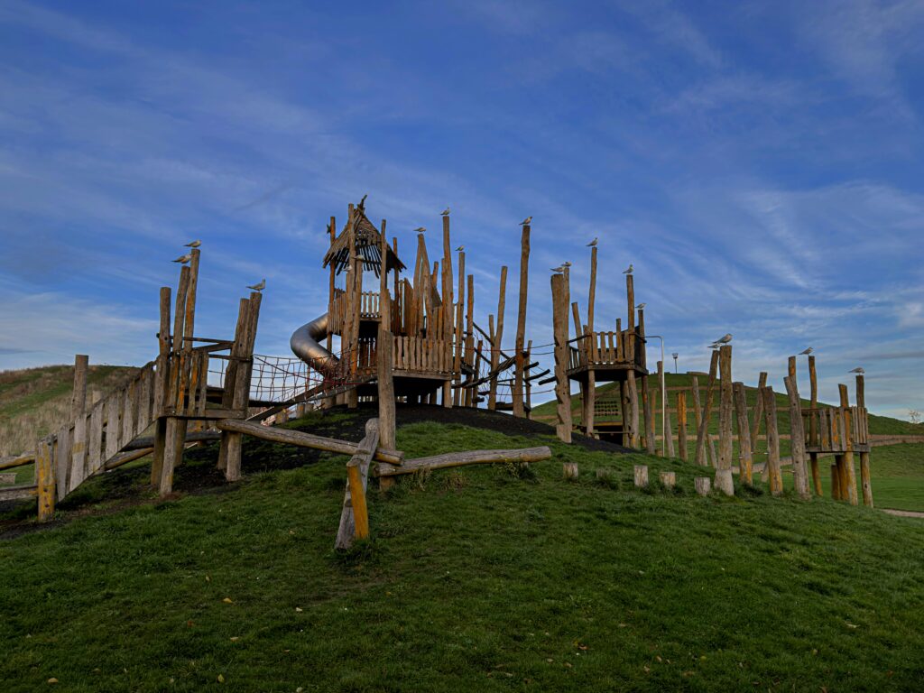 Free stock photo of adventure playground, gulls, london