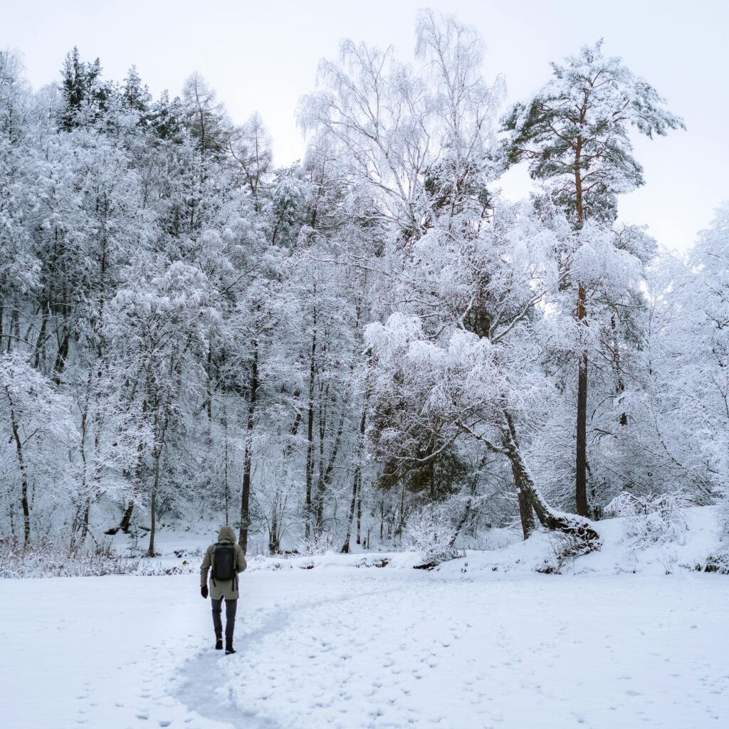 A lone traveler explores a serene, snow-covered forest during winter.