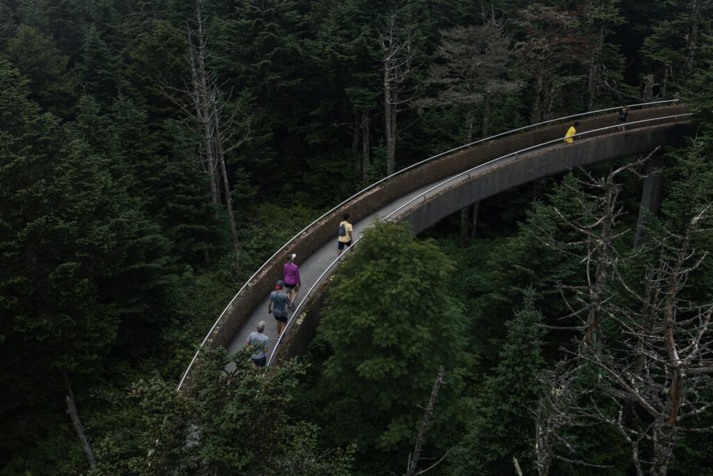 Aerial view of people walking on a bridge through dense forest in Gatlinburg, Tennessee.