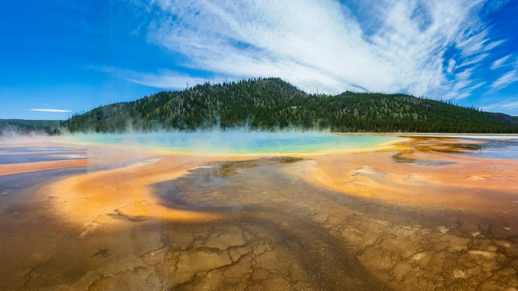 Stunning view of Grand Prismatic Spring with vibrant colors and forest backdrop.