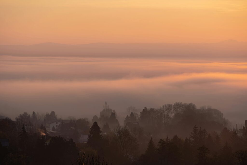 Serene view of a misty forest with sunrise over Austrian hills, capturing tranquil nature.